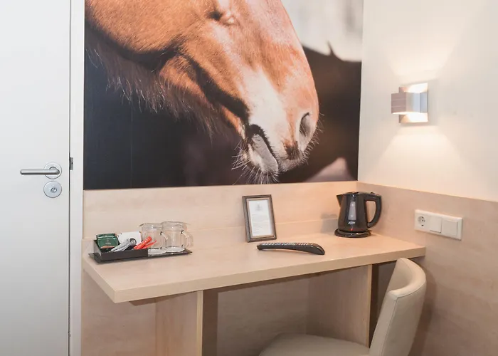 Iron Horse 3* Amsterdam